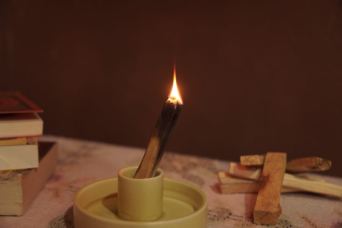 Palo Santo: Khi hương gỗ trở thành 1 liệu pháp chữa lành tâm hồn 5 ANH05936